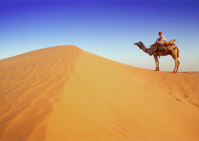 تحميل صور صحراء مجاناً Free Download Desert Images -عالم الصور